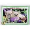 Image 1 : 1000PC PUZZLE KITTENS