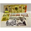 Image 1 : VINTAGE POSTCARD COLLECTION