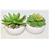 Image 1 : PAIR OF FAUX PLANTS