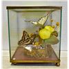 Image 1 : ENCASED BUTTERFLY DISPLAY