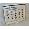Image 1 : MINERALS/ ROCKS VINTAGE COLLECTION BOX SET