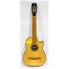 Image 1 : PARACHA ACOUSTIC GUITAR WITH SOFT CASE