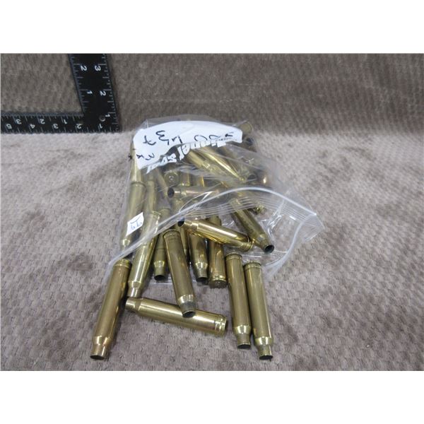 300 Win Mag Brass - Bag of 37