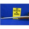 Image 4 : Non-Restricted - Mossberg Model 802 Plinkster in 22 LR