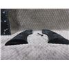 Image 3 : 22 Cal. Colt Peacemaker Eagle Grips with Screw