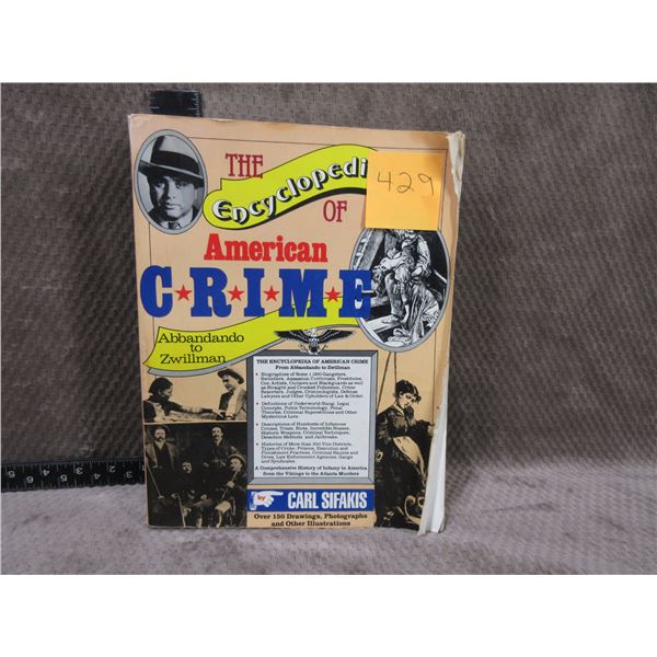 The Encyclopedia of American Crime by Carl Sifakis
