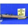 Image 7 : Non-Restricted - Remington Model 788 in 243 Win.