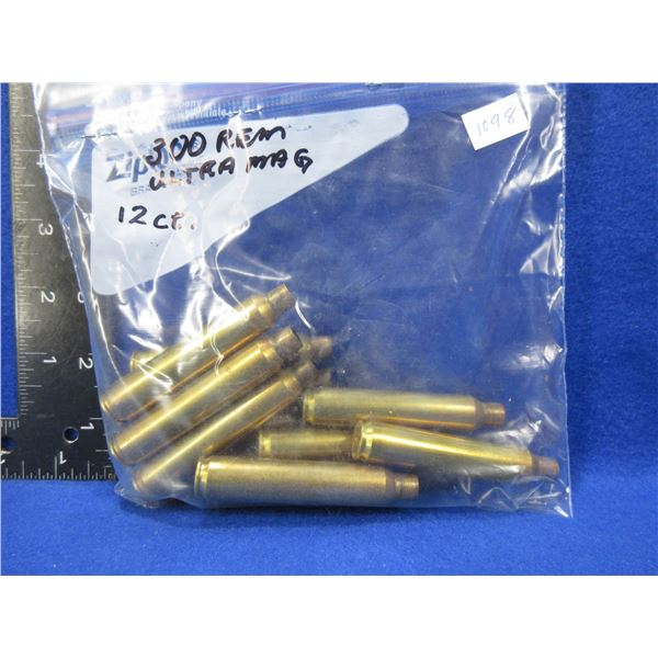 300 Remington Ultra Mag Brass - Bag of 12