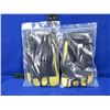 Image 1 : 2 Pairs of Gloves - BDG - Size Large - Appear Unused