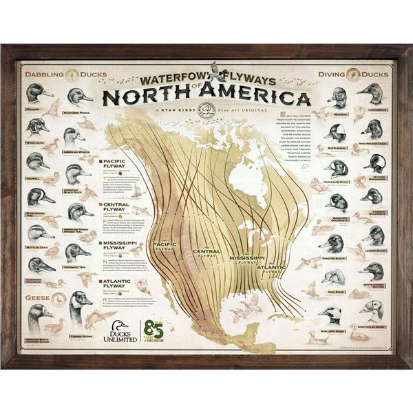 DU Waterfowl Flyways Map