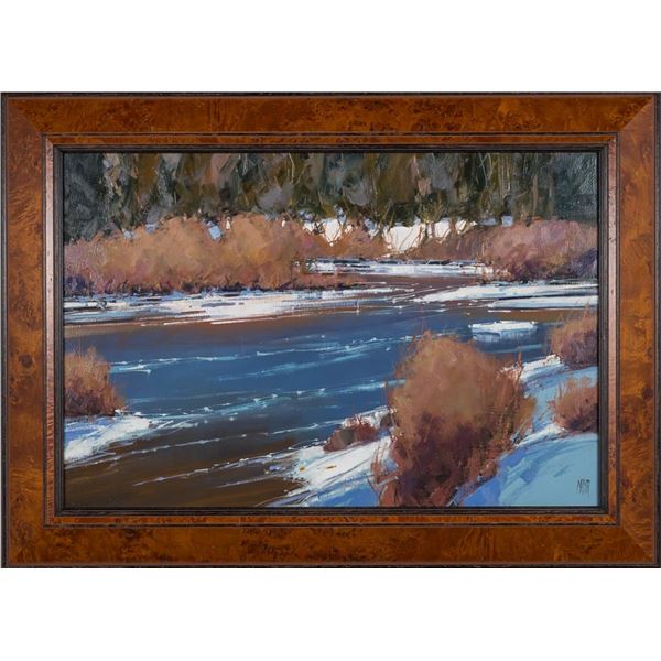 David Mayer - "Sunlit Winter Shores"