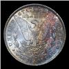 Image 3 : 1884-o Morgan Dollar 1 Graded Choice+ Unc By SEGS