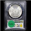 Image 3 : PCGS 1884-o Morgan Dollar 1 Graded ms65 By PCGS