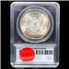 Image 5 : ***Auction Highlight*** 1898-o Morgan Dollar 1 Graded MS67 by SEGS (fc)
