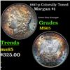 1887-p rainbow toned Morgan Dollar 1 Grades Choice Unc