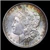 Image 2 : 1884-o Morgan Dollar 1 Grades GEM Unc