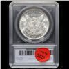 Image 5 : 1904-o Morgan Dollar 1 Grades GEM+ Unc by SEGS