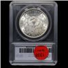 Image 5 : 1902-o Morgan Dollar 1 Grades ms66 by SEGS