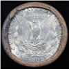 Image 3 : ***Auction Highlight*** Full solid date AU/Bu Slider 1921-P Morgan silver $1 roll, 20 coins (fc)