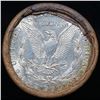 Image 3 : ***Auction Highlight*** Full solid date 1921-p Morgan silver $1 roll, 20 coins (fc)