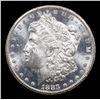 Image 2 : ***Auction Highlight*** NGC 1883-cc Morgan Dollar GSA Hoard $1 Graded ms63 pl By NGC (fc)