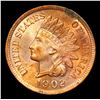 Image 2 : ***Auction Highlight*** 1902 Indian Cent 1c Grades GEM+ Unc RD By USCG (fc)
