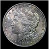 Image 2 : 1887-p Morgan Dollar $1 Grades Choice+ Unc