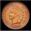 Image 2 : 1900 Indian Cent 1c Grades Choice Unc BN