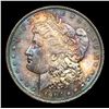 Image 2 : 1904-o Morgan Dollar $1 Grades Choice+ Unc