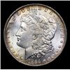 Image 2 : 1884-o Morgan Dollar $1 Grades Choice+ Unc