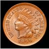 Image 2 : 1899 Indian Cent 1c Grades GEM+ Unc BN