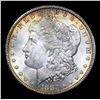 Image 2 : ***Auction Highlight*** 1880-cc Morgan Dollar $1 Graded ms64+ By SEGS (fc)
