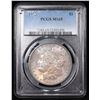 Image 2 : PCGS 1903-p Morgan Dollar $1 Graded ms65 By PCGS