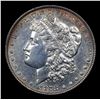 Image 2 : 1878-p 8tf Morgan Dollar $1 Graded ms63 details By SEGS