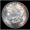 Image 2 : 1904-o Morgan Dollar $1 Graded ms66 By SEGS
