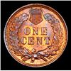 Image 3 : 1907 Indian Cent 1c Graded ms64 rb By SEGS