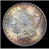 Image 2 : 1885-o Morgan Dollar $1 Grades Choice Unc