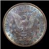 Image 3 : 1901-o Morgan Dollar $1 Grades GEM+ Unc