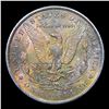 Image 3 : 1884-o Morgan Dollar $1 Grades Choice Unc