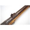 Image 7 : United States Springfield Rifle model 1861, Civil War