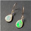 Image 1 : BZ957-10 14K OPAL EARRINGS