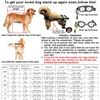 Image 2 : NEW BACK LEG DOG WHEELCHAIR SYSTEM FOR LIMB