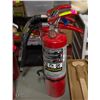 Image 1 : 2 CHARGED 5-7LBS FIRE EXTINGUISHERS