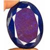 468ct. Museum Grade Collector's Natural Blue Sapphire RETAIL $32500 (GEM-2615)