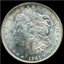 1921 Morgan Dollar Choice Unc (COI-3957)