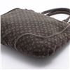 Image 3 : Louis Vuitton Brown Mini Lin Besace Angele Crossbody Bag