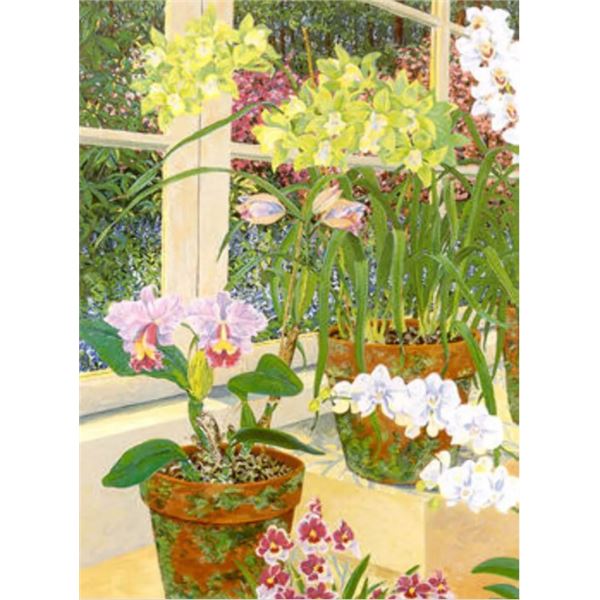 Orchids & Sunlight by John Powell on paper