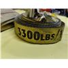 Image 2 : 3300lbs Capacity Ratchet Strap