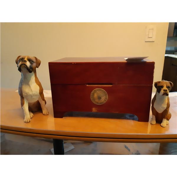 Box of National Georgraphic DVd's and Sandicast Dogs Cat A