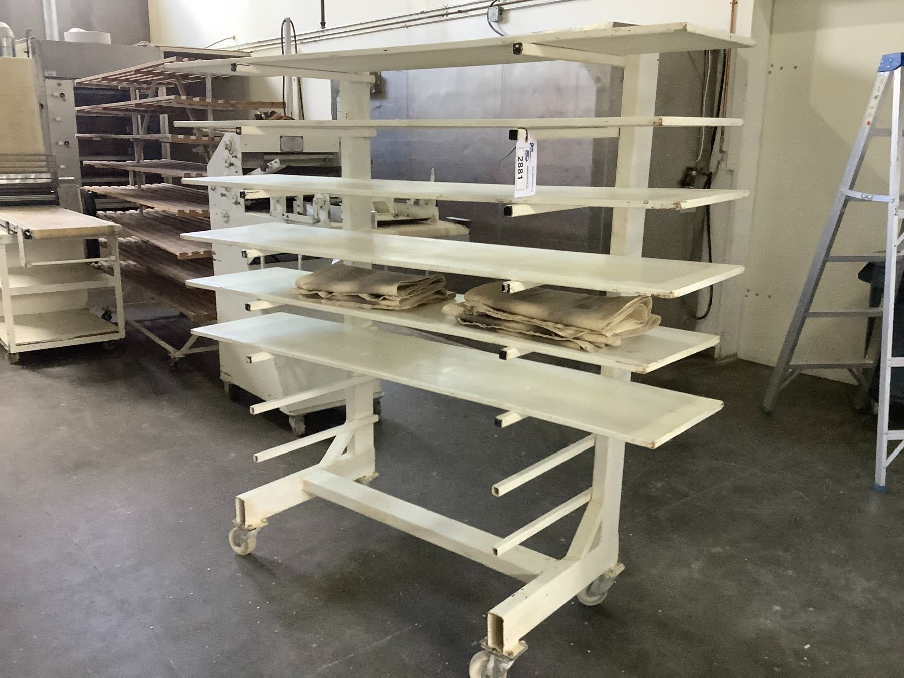 MULTI PURPOSE MOBILE RACK WITH SHELVES